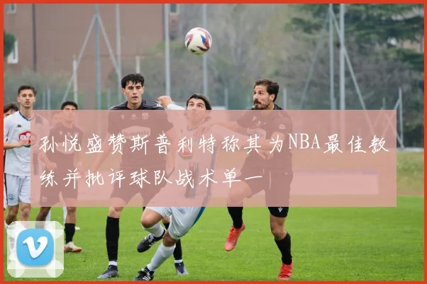 孙悦盛赞斯普利特称其为NBA最佳教练并批评球队战术单一